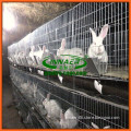 INNAER factory metal rabbit cages with low price